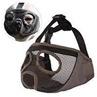 We will only place our french bulldogs in homes that can. 6 Best Muzzles For French Bulldogs