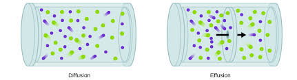 Effusion And Diffusion Of Gases Chemistry Atoms First Openstax Cnx