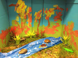 Biome In A Box Project Streams Rivers Biome Diorama Science Project School Projects Science Projects Biomes