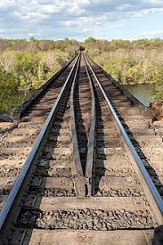 نتیجه جستجوی لغت [rails] در گوگل