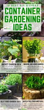 We did not find results for: 10 Best Diy Cheap Container Vegetable Gardening Ideas Anyone Can Use Slick Garden