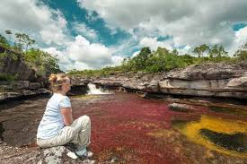 May 26, 2021 · ivan mikolji muestra los peces del orinoco en una galería de miami. Agencia De Viajes En Cali Con Viaja Y Descubre Reservar Es Facil
