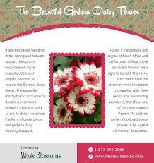 Purchase The Best And Beautiful Gerbera Daisy Colors Flowers Gerbera Daisy Colors Gerbera Daisy Daisy Bouquet Wedding