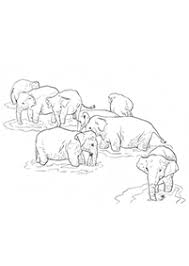 Maybe you would like to learn more about one of these? Elefanten Malvorlagen