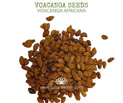 Image result for Voacanga