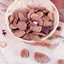 Image result for Hunteria umbellata