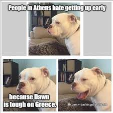 These short and clever jokes are seriously funny and are ranked on votes by you, the website visitors. Dad Joke In Honor Of Father S Day I Can Has Cheezburger