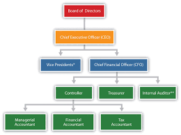 Organizational Structure Of Finance Department Google