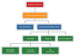 organizational structure of finance department google