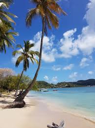 Découvrez et redécouvrez des incontournables de l'île depuis votre canapé comme si vous y étiez ! Martinique Blumeninsel Der Karibik