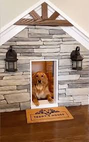 Excuse me, how do i get to the hospital? Golden Retriever S Custom Luxury Doghouse Made From Converted Closet Under The Stairs