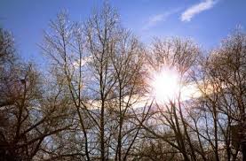 Картинки по запросу зимнее солнцестояние 2020 1pvbuafrmcqh7m