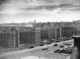 the rise and fall of new york public housing an oral