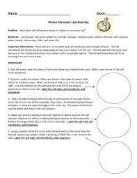 Without osmosis, photosynthesis would never occur and plants would wilt and die. Red Onion Osmosis Lab