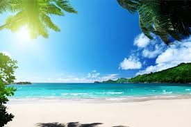 These are the best islands and beach backgrounds where the people can sit back, unwind, appreciate the. Beach Summer Palms Ocean Tropical Paradise Sea Sunshine Wallpapers Hd Desktop And Mobile Backgrounds
