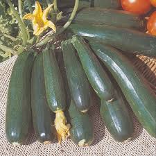 Rinse the seeds in water, giving them a good swirl. Courgette Zucchini A Leading Supplier Of Vegetable Seeds In Essex Uk Grow Your Own Vegetable Seeds Kingsseeds Com