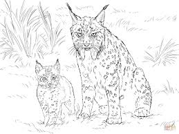 Desert Animals Coloring Pages Printable Desert Animals Coloring Animal Coloring Pages Coloring Pages