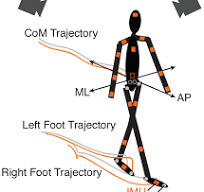 Validation of Inertial Sensors to Evaluate Gait Stability