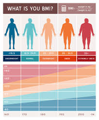 Advanced Bmi Calculator Prevention Clinics
