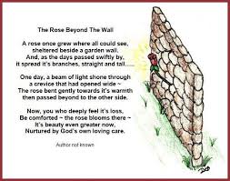 Rose Beyond The Wall Wall Poems Words Of Comfort Things To Come