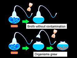 Law Of Biogenesis Creationwiki The Encyclopedia Of Creation Science