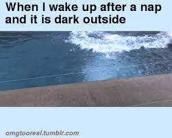 Omg Too Real Funny Gif Funny Pictures Funny Animal Pictures