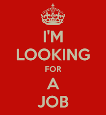 Many people are looking for freedom in the position that they choose. I M Looking For A Job Looking For A Job Job Job Hunting