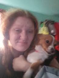 Lost pet found in northern Utah