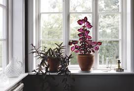 Hos Cattis Johanna Bradford Vaxter Lampor Inspirerande