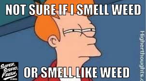 Do I Smell Like Weed