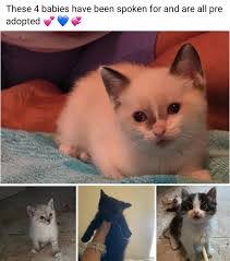 Christina Agan's Instagram, Twitter & Facebook