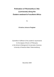 Small garden design with l shaped hedge. View Open Researchspace University Of Kwazulu Natal