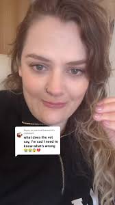 What Happened to Stevens Chihuahua Dog