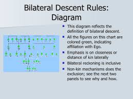 Rules Of Descent How Kin Are Reckoned