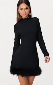 Black Feather Hem Detail Long Sleeve High Neck Bodycon Dress Black Feather Dress High Neck Bodycon Dress Bodycon Dress