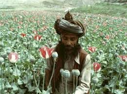 منابع محلی در ولایت غزنی تأیید می‌کنند که حمله‌ی گروه. Ø¨Ø±Ù„ÙŠÙ† ØªØ³ØªØ¶ÙŠÙ Ø§Ù„ÙŠÙˆÙ… Ù…Ø¤ØªÙ…Ø± Ø¥Ø¹Ø§Ø¯Ø© Ø¥Ø¹Ù…Ø§Ø± Ø£ÙØºØ§Ù†Ø³ØªØ§Ù† Ø³ÙŠØ§Ø³Ø© ÙˆØ§Ù‚ØªØµØ§Ø¯ ØªØ­Ù„ÙŠÙ„Ø§Øª Ù…Ø¹Ù…Ù‚Ø© Ø¨Ù…Ù†Ø¸ÙˆØ± Ø£ÙˆØ³Ø¹ Ù…Ù† Dw Dw 30 01 2007