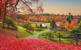 Fall Equinox - When Is the First Day of Fall?