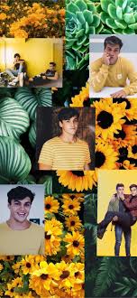Create your own masterpiece with aesthetic dolan twins paint by number kit. The Dolan Twins Iphone Wallpapers Free Download