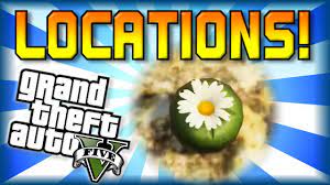 Apr 19, 2021 · how to become an animal in gta 5 online *new*#gtaonlineever want to be an animal in gta 5 online? Gta 5 Peyote All Locations Guide Part 1 Become An Animal First 3 Locations Youtube