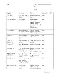 Ixl is easy online learning designed for busy parents. Cell Organelles Worksheet Pdf Endoplasmic Reticulum Cell Biology