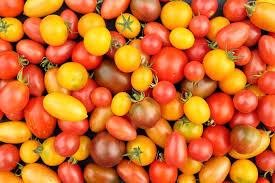 Trouver la la plus grosse tomate du monde photo idéale une vaste collection, un choix incroyable, plus de 100 millions d'images ld et dg abordables de haute qualité. Connaissez Vous La Tomate La Presse