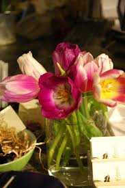 Patterson's flowers is located in reed city city of michigan state. Anne Paterson S Flowers