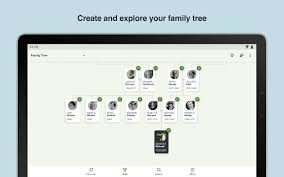 How to use ancestry in a sentence. Ancestry Explore Your Family Tree Unique Story Apps On Google Play