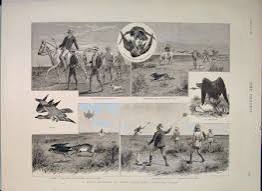India, a Day's Ravine Deer Stalking., William Ralston, 22 August 1885 - Traditional visual art under Public domain license
