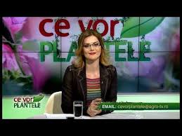 Ce poți viziona în noaptea dintre ani la tv. Ce Vor Plantele Cristina Ghibu 2019 03 21 Partea1 Youtube