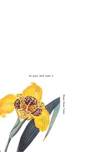 Pinterest Isabella Grace Izzygrace21 Instagram Isabella Stecky Twitter Isabella Igs Faith Scripture Words Christian Quotes