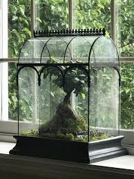 Large Glass Terrarium H Potter Wardian Case Display Case Fairy Garden Succulent Container Large Glass Terrarium Succulents In Containers Terrarium For Sale