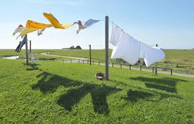 We did not find results for: Clothesline Wiktionary