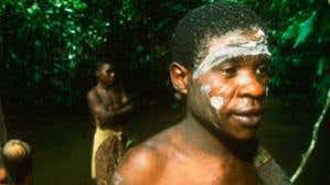 Image result for Pycreus africanus