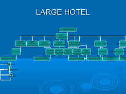 Hotel Organizational Chart Jasonkellyphoto Co